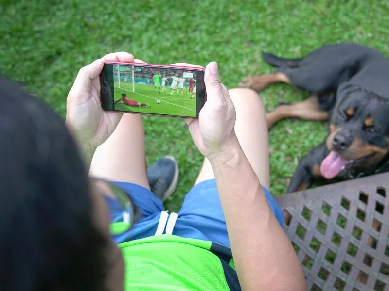 Revenda IPTV